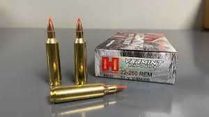22-250 Remington Canada